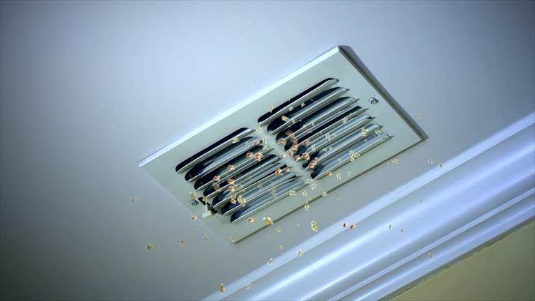 Best Affordable Duct Cleaning Services  in Orange, TX